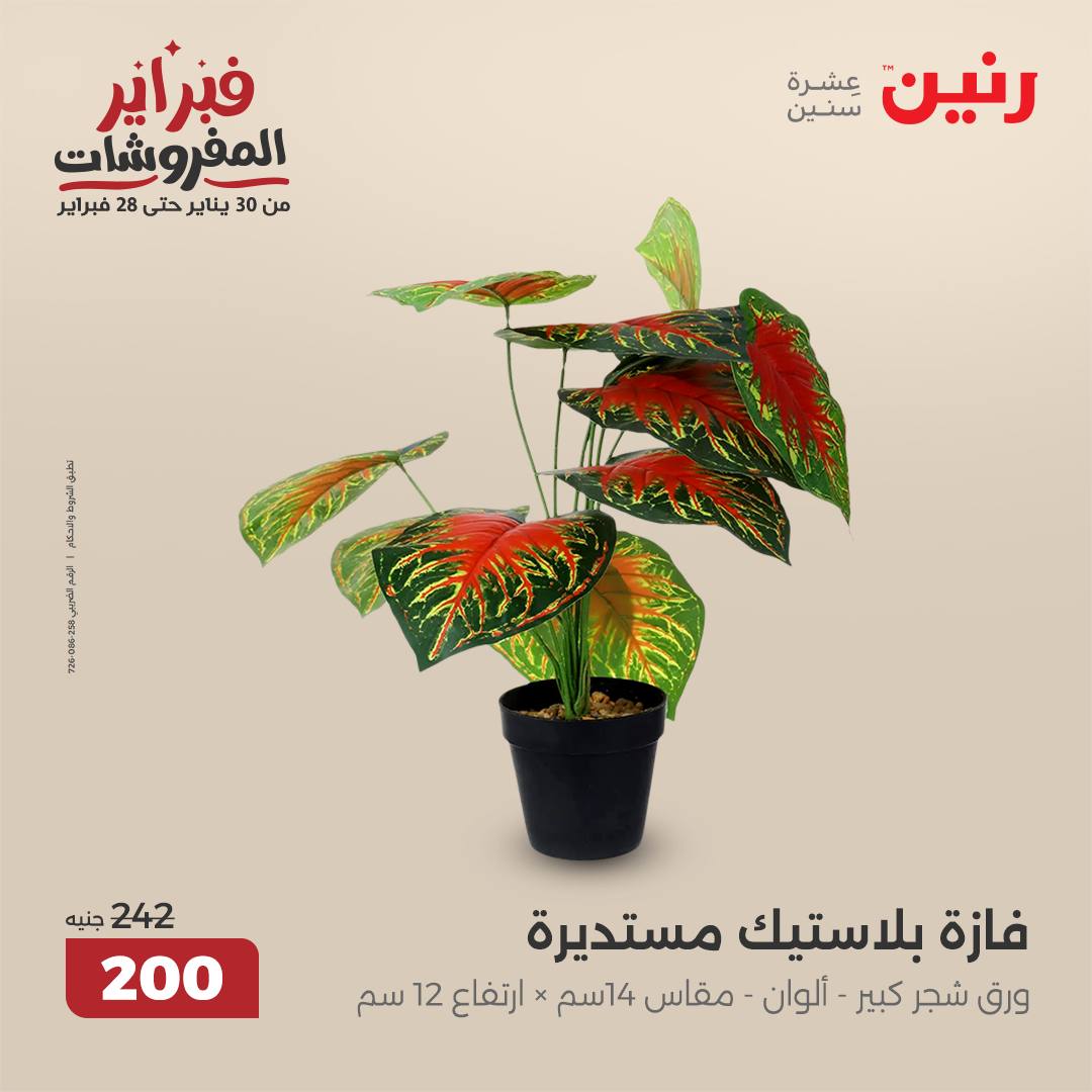 raneen offers from 20feb to 22feb 2025 عروض رنين من 20 فبراير حتى 22 فبراير 2025 صفحة رقم 157